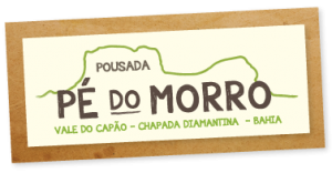 PDM---Logo_fundopapel
