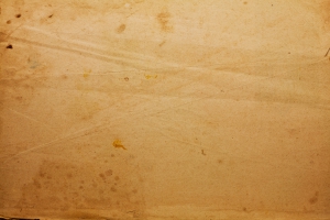 wildtextures-old-paper-texture